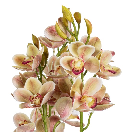 Artificial Garden CHAMPAGNE CHERRY CYMBIDIUM 21404 Διακοσμητικό Φυτό Σαμπανιζέ Κυμβίδιο Υ60cm