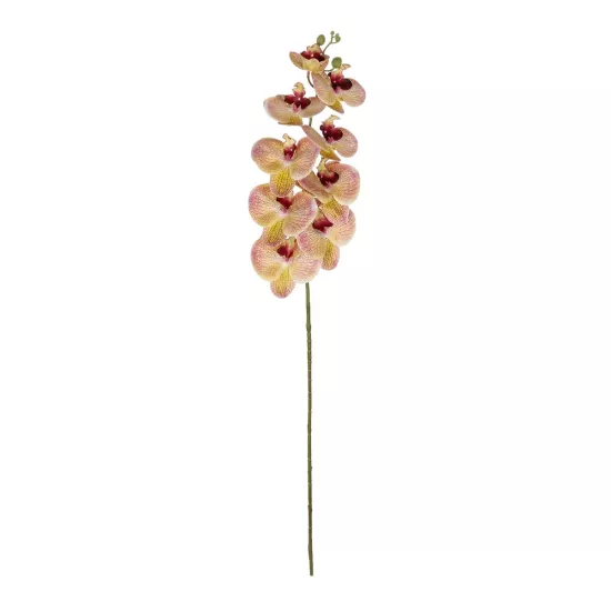 Artificial Garden PING SALMON ORCHID BRANCH 21405 Τεχνητό Διακοσμητικό Κλαδί Ροζ Ορχιδέα Y95cm Artificial Garden PING SALMON ORCHID BRANCH 21405 Τεχνητό Διακοσμητικό Κλαδί Ροζ Ορχιδέα Y95cm