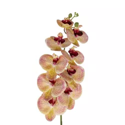Artificial Garden PING SALMON ORCHID BRANCH 21405 Τεχνητό Διακοσμητικό Κλαδί  Ροζ Ορχιδέα Y95cm
