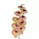 Artificial Garden PING SALMON ORCHID BRANCH 21405 Τεχνητό Διακοσμητικό Κλαδί Ροζ Ορχιδέα Y95cm Artificial Garden PING SALMON ORCHID BRANCH 21405 Τεχνητό Διακοσμητικό Κλαδί Ροζ Ορχιδέα Y95cm