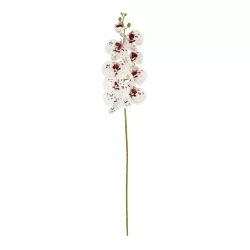 Artificial Garden WHITE ORCHID BRANCH 21406 Τεχνητό Διακοσμητικό Κλαδί Λευκή Ορχιδέα Y95cm