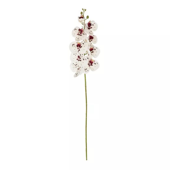 Artificial Garden WHITE ORCHID BRANCH 21406 Τεχνητό Διακοσμητικό Κλαδί Λευκή Ορχιδέα Y95cm Artificial Garden WHITE ORCHID BRANCH 21406 Τεχνητό Διακοσμητικό Κλαδί Λευκή Ορχιδέα Y95cm