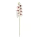 Artificial Garden WHITE ORCHID BRANCH 21406 Τεχνητό Διακοσμητικό Κλαδί Λευκή Ορχιδέα Y95cm Artificial Garden WHITE ORCHID BRANCH 21406 Τεχνητό Διακοσμητικό Κλαδί Λευκή Ορχιδέα Y95cm