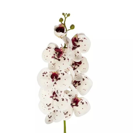 Artificial Garden WHITE ORCHID BRANCH 21406 Τεχνητό Διακοσμητικό Κλαδί Λευκή Ορχιδέα Y95cm Artificial Garden WHITE ORCHID BRANCH 21406 Τεχνητό Διακοσμητικό Κλαδί Λευκή Ορχιδέα Y95cm