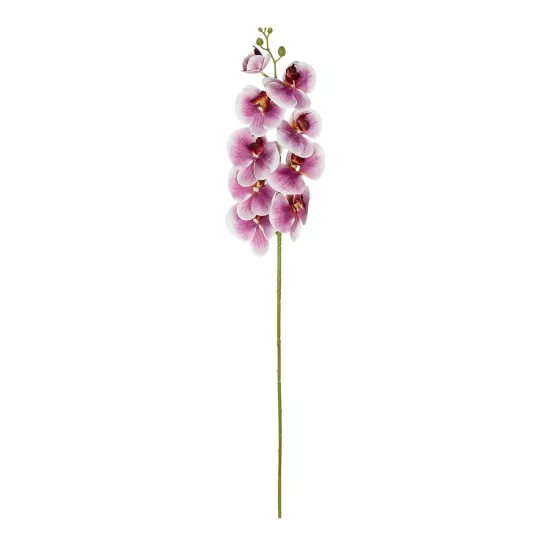 Artificial Garden PINK ORCHID BRANCH 21407 Τεχνητό Διακοσμητικό Κλαδί Ροζ Ορχιδέα Y95cm Artificial Garden PINK ORCHID BRANCH 21407 Τεχνητό Διακοσμητικό Κλαδί Ροζ Ορχιδέα Y95cm