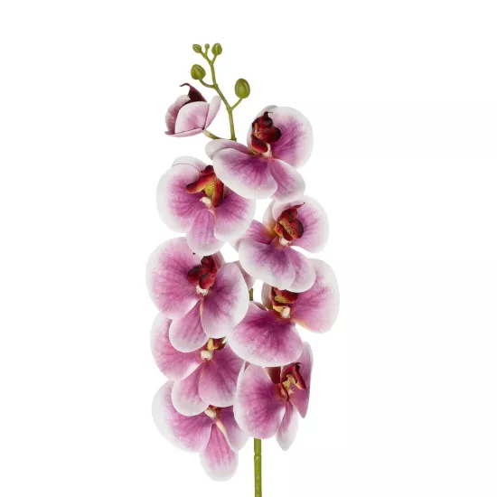 Artificial Garden PINK ORCHID BRANCH 21407 Τεχνητό Διακοσμητικό Κλαδί Ροζ Ορχιδέα Y95cm Artificial Garden PINK ORCHID BRANCH 21407 Τεχνητό Διακοσμητικό Κλαδί Ροζ Ορχιδέα Y95cm