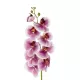 Artificial Garden PINK ORCHID BRANCH 21407 Τεχνητό Διακοσμητικό Κλαδί Ροζ Ορχιδέα Y95cm Artificial Garden PINK ORCHID BRANCH 21407 Τεχνητό Διακοσμητικό Κλαδί Ροζ Ορχιδέα Y95cm