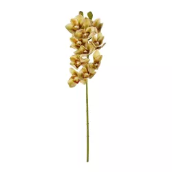 Artificial Garden CHAMPAGNE CYMBIDIUM BRANCH 21408 Τεχνητό Διακοσμητικό Κλαδί Σαμπανί Κυμβίδιο  Y75cm