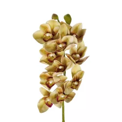 Artificial Garden CHAMPAGNE CYMBIDIUM BRANCH 21408 Τεχνητό Διακοσμητικό Κλαδί Σαμπανί Κυμβίδιο  Y75cm