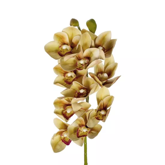 Artificial Garden CHAMPAGNE CYMBIDIUM BRANCH 21408 Τεχνητό Διακοσμητικό Κλαδί Σαμπανί Κυμβίδιο Y75cm Artificial Garden CHAMPAGNE CYMBIDIUM BRANCH 21408 Τεχνητό Διακοσμητικό Κλαδί Σαμπανί Κυμβίδιο Y75cm