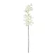 Artificial Garden WHITE VANDA ORCHID BRANCH 21409 Τεχνητό Διακοσμητικό Κλαδί Λευκή Ορχιδέα Y82cm Artificial Garden WHITE VANDA ORCHID BRANCH 21409 Τεχνητό Διακοσμητικό Κλαδί Λευκή Ορχιδέα Y82cm