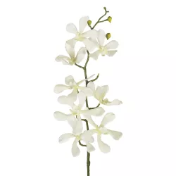 Artificial Garden WHITE VANDA ORCHID BRANCH 21409 Τεχνητό Διακοσμητικό Κλαδί Λευκή Ορχιδέα Y82cm