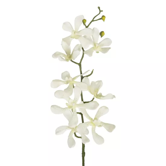 Artificial Garden WHITE VANDA ORCHID BRANCH 21409 Τεχνητό Διακοσμητικό Κλαδί Λευκή Ορχιδέα Y82cm Artificial Garden WHITE VANDA ORCHID BRANCH 21409 Τεχνητό Διακοσμητικό Κλαδί Λευκή Ορχιδέα Y82cm