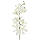 Artificial Garden WHITE VANDA ORCHID BRANCH 21409 Τεχνητό Διακοσμητικό Κλαδί Λευκή Ορχιδέα Y82cm Artificial Garden WHITE VANDA ORCHID BRANCH 21409 Τεχνητό Διακοσμητικό Κλαδί Λευκή Ορχιδέα Y82cm