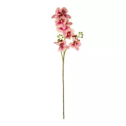 Artificial Garden CHAMPAGNE PINK ORCHID  BRANCH 21411 Τεχνητό Διακοσμητικό Κλαδί Σαμπανί Ορχιδέα Y70cm