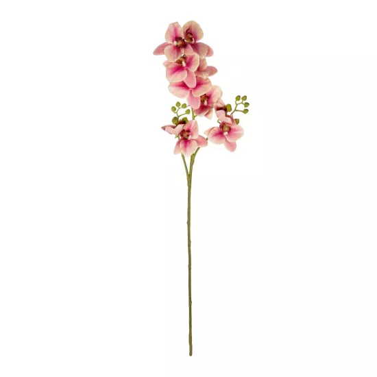 Artificial Garden CHAMPAGNE PINK ORCHID BRANCH 21411 Τεχνητό Διακοσμητικό Κλαδί Σαμπανί Ορχιδέα Y70cm Artificial Garden CHAMPAGNE PINK ORCHID BRANCH 21411 Τεχνητό Διακοσμητικό Κλαδί Σαμπανί Ορχιδέα Y70cm