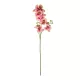 Artificial Garden CHAMPAGNE PINK ORCHID BRANCH 21411 Τεχνητό Διακοσμητικό Κλαδί Σαμπανί Ορχιδέα Y70cm Artificial Garden CHAMPAGNE PINK ORCHID BRANCH 21411 Τεχνητό Διακοσμητικό Κλαδί Σαμπανί Ορχιδέα Y70cm