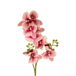 Artificial Garden CHAMPAGNE PINK ORCHID  BRANCH 21411 Τεχνητό Διακοσμητικό Κλαδί Σαμπανί Ορχιδέα Y70cm