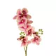Artificial Garden CHAMPAGNE PINK ORCHID BRANCH 21411 Τεχνητό Διακοσμητικό Κλαδί Σαμπανί Ορχιδέα Y70cm Artificial Garden CHAMPAGNE PINK ORCHID BRANCH 21411 Τεχνητό Διακοσμητικό Κλαδί Σαμπανί Ορχιδέα Y70cm