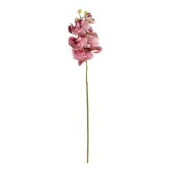 Artificial Garden  PINK ORCHID  BRANCH 21412 Τεχνητό Διακοσμητικό Κλαδί Ροζ Ορχιδέα Y70cm