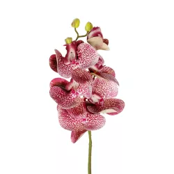 Artificial Garden  PINK ORCHID  BRANCH 21412 Τεχνητό Διακοσμητικό Κλαδί Ροζ Ορχιδέα Y70cm