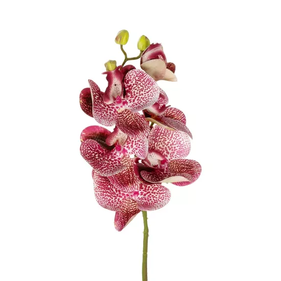 Artificial Garden PINK ORCHID BRANCH 21412 Τεχνητό Διακοσμητικό Κλαδί Ροζ Ορχιδέα Y70cm Artificial Garden PINK ORCHID BRANCH 21412 Τεχνητό Διακοσμητικό Κλαδί Ροζ Ορχιδέα Y70cm