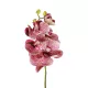 Artificial Garden PINK ORCHID BRANCH 21412 Τεχνητό Διακοσμητικό Κλαδί Ροζ Ορχιδέα Y70cm Artificial Garden PINK ORCHID BRANCH 21412 Τεχνητό Διακοσμητικό Κλαδί Ροζ Ορχιδέα Y70cm