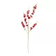 Artificial Garden RED DANCE ORCHID BRANCH 21413 Τεχνητό Διακοσμητικό Κλαδί Κόκκινη Ορχιδέα Y90cm Artificial Garden RED DANCE ORCHID BRANCH 21413 Τεχνητό Διακοσμητικό Κλαδί Κόκκινη Ορχιδέα Y90cm