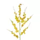 Artificial Garden YELLOW DANCE ORCHID BRANCH 21414 Τεχνητό Διακοσμητικό Κλαδί Κίτρινη Ορχιδέα Y110cm Artificial Garden YELLOW DANCE ORCHID BRANCH 21414 Τεχνητό Διακοσμητικό Κλαδί Κίτρινη Ορχιδέα Y110cm