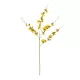 Artificial Garden YELLOW SPRING ORCHIDIUM BRANCH 21415 Τεχνητό Διακοσμητικό Κλαδί Κίτρινη Ορχιδέα Y76cm Artificial Garden YELLOW SPRING ORCHIDIUM BRANCH 21415 Τεχνητό Διακοσμητικό Κλαδί Κίτρινη Ορχιδέα Y76cm
