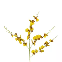 Artificial Garden YELLOW SPRING ORCHIDIUM BRANCH 21415 Τεχνητό Διακοσμητικό Κλαδί Κίτρινη Ορχιδέα Y76cm