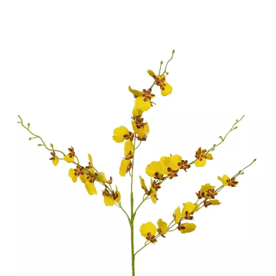 Artificial Garden YELLOW SPRING ORCHIDIUM BRANCH 21415 Τεχνητό Διακοσμητικό Κλαδί Κίτρινη Ορχιδέα Y76cm Artificial Garden YELLOW SPRING ORCHIDIUM BRANCH 21415 Τεχνητό Διακοσμητικό Κλαδί Κίτρινη Ορχιδέα Y76cm