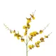 Artificial Garden YELLOW SPRING ORCHIDIUM BRANCH 21415 Τεχνητό Διακοσμητικό Κλαδί Κίτρινη Ορχιδέα Y76cm Artificial Garden YELLOW SPRING ORCHIDIUM BRANCH 21415 Τεχνητό Διακοσμητικό Κλαδί Κίτρινη Ορχιδέα Y76cm