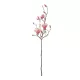 Artificial Garden WHITE - PINK MAGNOLIA 21416 Τεχνητό Διακοσμητικό Κλαδί Ροζ Μανόλια Μ30 x Π13 x Υ110cm Artificial Garden WHITE - PINK MAGNOLIA 21416 Τεχνητό Διακοσμητικό Κλαδί Ροζ Μανόλια Μ30 x Π13 x Υ110cm
