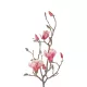 Artificial Garden WHITE - PINK MAGNOLIA 21416 Τεχνητό Διακοσμητικό Κλαδί Ροζ Μανόλια Μ30 x Π13 x Υ110cm Artificial Garden WHITE - PINK MAGNOLIA 21416 Τεχνητό Διακοσμητικό Κλαδί Ροζ Μανόλια Μ30 x Π13 x Υ110cm