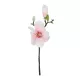 Artificial Garden WHITE PINK MAGNOLIA BRANCH 21417 Τεχνητό Διακοσμητικό Κλαδί Λευκή Ροζ Μαγνόλια Y36cm Artificial Garden WHITE PINK MAGNOLIA BRANCH 21417 Τεχνητό Διακοσμητικό Κλαδί Λευκή Ροζ Μαγνόλια Y36cm