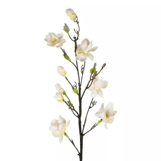 Artificial Garden WHITE YELLOW MAGNOLIA BRANCH 21419 Τεχνητό Διακοσμητικό Κλαδί Λευκή Κίτρινη Μαγνόλια Y108cm Artificial Garden WHITE YELLOW MAGNOLIA BRANCH 21419 Τεχνητό Διακοσμητικό Κλαδί Λευκή Κίτρινη Μαγνόλια Y108cm
