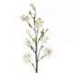 Artificial Garden WHITE YELLOW MAGNOLIA BRANCH 21419 Τεχνητό Διακοσμητικό Κλαδί Λευκή Κίτρινη Μαγνόλια Y108cm Artificial Garden WHITE YELLOW MAGNOLIA BRANCH 21419 Τεχνητό Διακοσμητικό Κλαδί Λευκή Κίτρινη Μαγνόλια Y108cm
