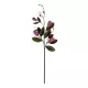 Artificial Garden DARK PING MAGNOLIA BRANCH 21421 Τεχνητό Διακοσμητικό Κλαδί Ροζ Μαγνόλια Y120cm Artificial Garden DARK PING MAGNOLIA BRANCH 21421 Τεχνητό Διακοσμητικό Κλαδί Ροζ Μαγνόλια Y120cm