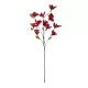 Artificial Garden RED MAGNOLIA BRANCH 21422 Τεχνητό Διακοσμητικό Κλαδί Κόκκινη Μαγνόλια Y86cm Artificial Garden RED MAGNOLIA BRANCH 21422 Τεχνητό Διακοσμητικό Κλαδί Κόκκινη Μαγνόλια Y86cm