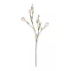 Artificial Garden CHAMPAGNE MAGNOLIA BRANCH 21423 Τεχνητό Διακοσμητικό Κλαδί Σαμπανί Μαγνόλια Y100cm Artificial Garden CHAMPAGNE MAGNOLIA BRANCH 21423 Τεχνητό Διακοσμητικό Κλαδί Σαμπανί Μαγνόλια Y100cm