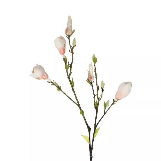 Artificial Garden CHAMPAGNE MAGNOLIA BRANCH 21423 Τεχνητό Διακοσμητικό Κλαδί Σαμπανί Μαγνόλια Y100cm Artificial Garden CHAMPAGNE MAGNOLIA BRANCH 21423 Τεχνητό Διακοσμητικό Κλαδί Σαμπανί Μαγνόλια Y100cm