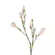 Artificial Garden CHAMPAGNE MAGNOLIA BRANCH 21423 Τεχνητό Διακοσμητικό Κλαδί Σαμπανί Μαγνόλια Y100cm Artificial Garden CHAMPAGNE MAGNOLIA BRANCH 21423 Τεχνητό Διακοσμητικό Κλαδί Σαμπανί Μαγνόλια Y100cm