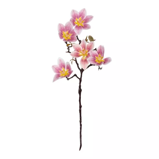 Artificial Garden PING MAGNOLIA BRANCH 21424 Τεχνητό Διακοσμητικό Κλαδί Ροζ Μαγνόλια Y57cm Artificial Garden PING MAGNOLIA BRANCH 21424 Τεχνητό Διακοσμητικό Κλαδί Ροζ Μαγνόλια Y57cm