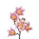Artificial Garden PING MAGNOLIA BRANCH 21424 Τεχνητό Διακοσμητικό Κλαδί Ροζ Μαγνόλια Y57cm Artificial Garden PING MAGNOLIA BRANCH 21424 Τεχνητό Διακοσμητικό Κλαδί Ροζ Μαγνόλια Y57cm