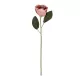 Artificial Garden PINK MAGNOLIA 21426 Τεχνητό Διακοσμητικό Κλαδί Ροζ Μανόλια Μ16 x Π10 x Υ82cm Artificial Garden PINK MAGNOLIA 21426 Τεχνητό Διακοσμητικό Κλαδί Ροζ Μανόλια Μ16 x Π10 x Υ82cm