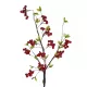 Artificial Garden RED HOLLY BERRIES FRUIT BRANCH 21430 Τεχνητό Διακοσμητικό Κλαδί Κόκκινο Γκί Y90cm Artificial Garden RED HOLLY BERRIES FRUIT BRANCH 21430 Τεχνητό Διακοσμητικό Κλαδί Κόκκινο Γκί Y90cm