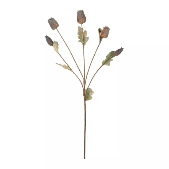 Artificial Garden POPPY FRUIT BRANCH 21432 Τεχνητό Διακοσμητικό Κλαδί Παπαρούνα Y62cm Artificial Garden POPPY FRUIT BRANCH 21432 Τεχνητό Διακοσμητικό Κλαδί Παπαρούνα Y62cm