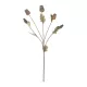 Artificial Garden POPPY FRUIT BRANCH 21432 Τεχνητό Διακοσμητικό Κλαδί Παπαρούνα Y62cm Artificial Garden POPPY FRUIT BRANCH 21432 Τεχνητό Διακοσμητικό Κλαδί Παπαρούνα Y62cm