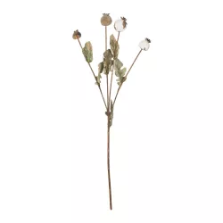 Artificial Garden POPPY FRUIT BRANCH 21433 Τεχνητό Διακοσμητικό Κλαδί Παπαρούνα Y60cm